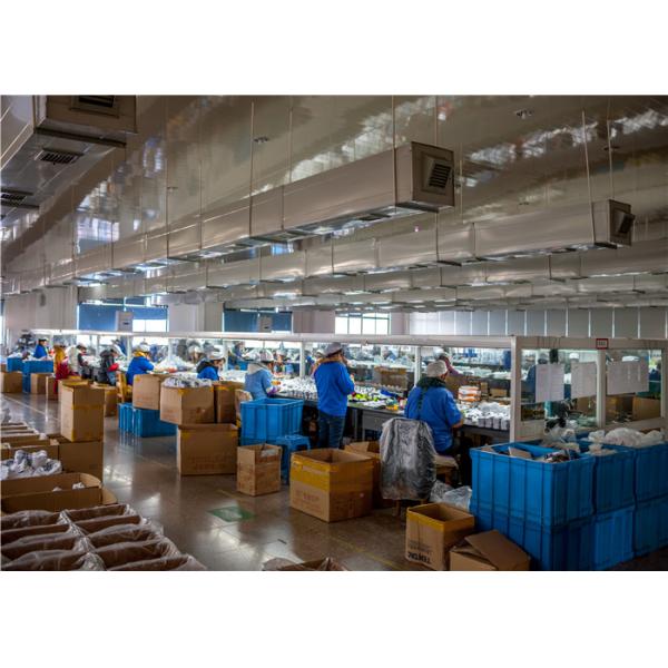 Shanghai Maituo Knitting Co., Ltd.