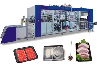 Innovative Blister Thermoforming Machine Three Station  Pvc PP Pe Forming