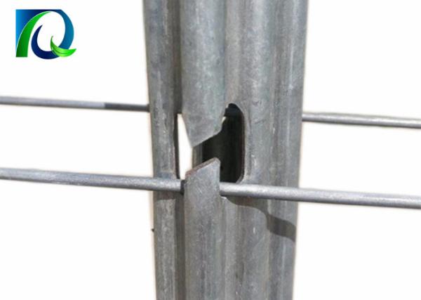 Hot Dipped Galvanized Steel Vineyard Post 2.0mm Thickness Use For Grape Growing