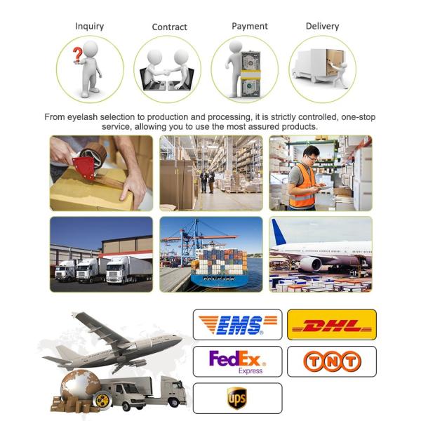 High Precision Optical Digital Linear Scale Metal Three-Axis Digital Readout System