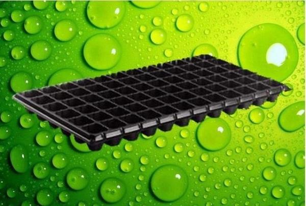 Brand new nursery seedling trays wholesale 105 cells plastic growing plug trays with low price