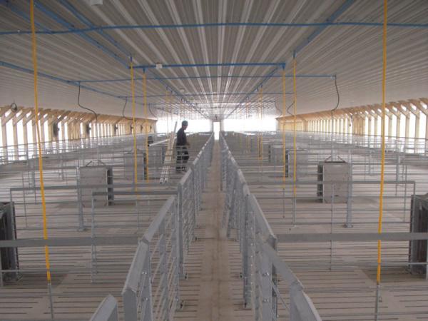 Galvanized Pig Farm Equipment Pig Farrowing Pen Gray Color Alkali Resistance