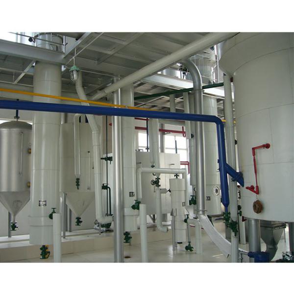 Rice Bran Oil Making Machinery Commercial Rotocel Extractor Seed Oil Press Machine Groundnut Oil Extraction Machine
