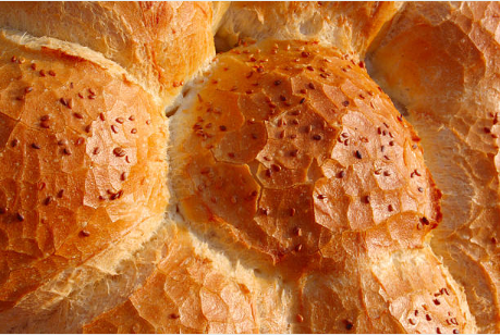 Standardized Pizza Dough Rounder Machine 3000 Pieces/Hour 1.5kw Dough Separator