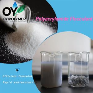 Anionic Polyacrylamide