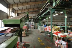 Dadao Corporation Limited