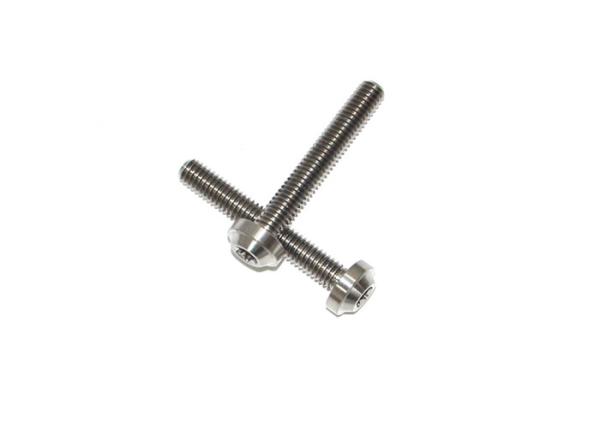 Bicycle Titanium Screws Fasteners Torx Head Bolts DIY Titanium Bolts 2 PCS