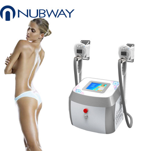 Radio Frequency Cryolipolysis Slimming Machine Pulse For Fat Reduction