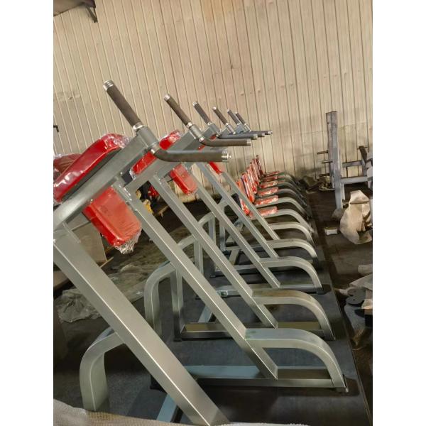 Indoor Bodybuilding Vertical Knees Up/Dip Strength Trainer for Space-Saving Solution