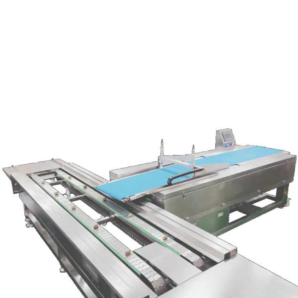 Multiple Lanes Horizontal Pan Arranging Optional Food Machine Line 304 CE