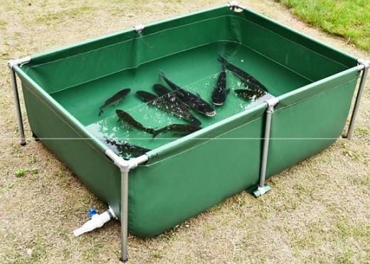 Easy To Operate Galvanized Pipe Fish Pond For Economic Eco Friendly Fish Farming