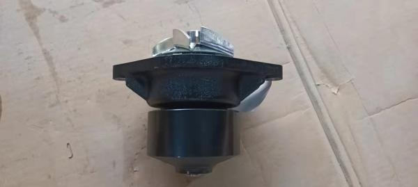 A máquina escavadora Parts Cummins High de LGMC flui bomba de água pequena da bomba 4935793 do tamanho