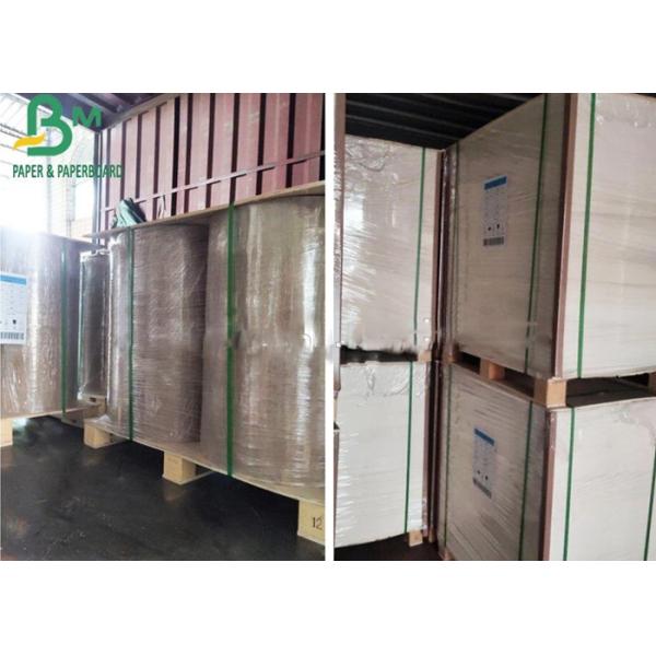 Одна сторона покрыла бумагу покрытия ПЛА 300г совершенно ухудшенную для чашек офиса