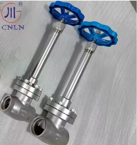 PN40 DN25/DN40 Stainless Steel Low Temperature Globe Valve For LNG/LOX/LN2/LAR/LCO2