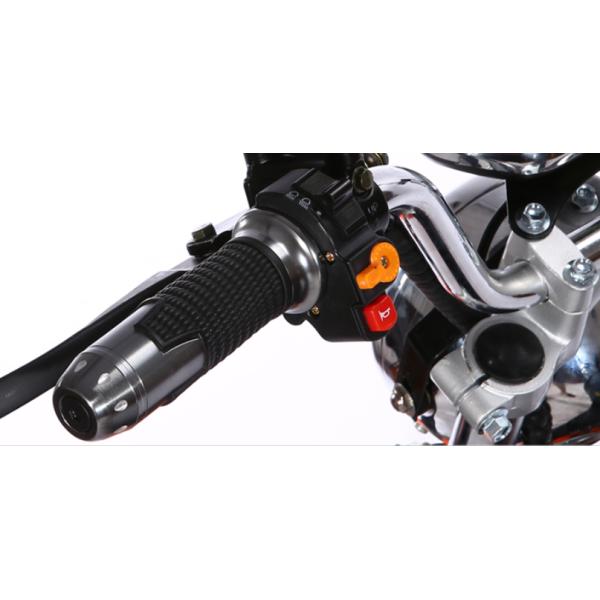 Fat Tire Harley Citycoco Electric Scooter 2000w 2 Wheel Long Range