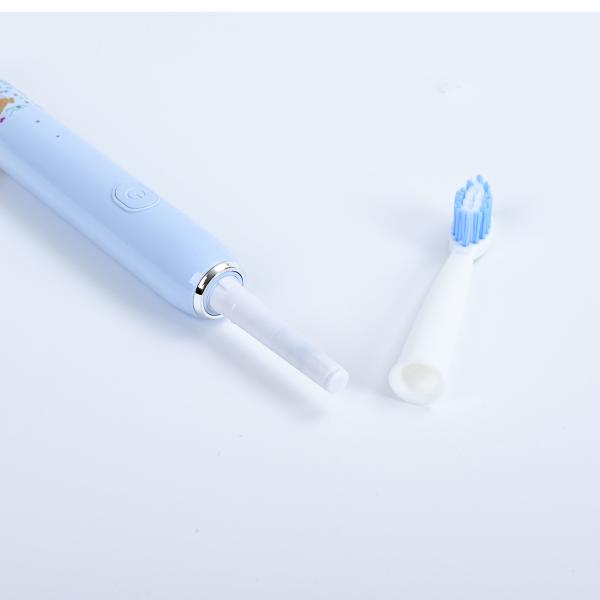 Commercial Smart Electric Toothbrush With 2 Minute Timer IPX7 Waterproof 500mAH