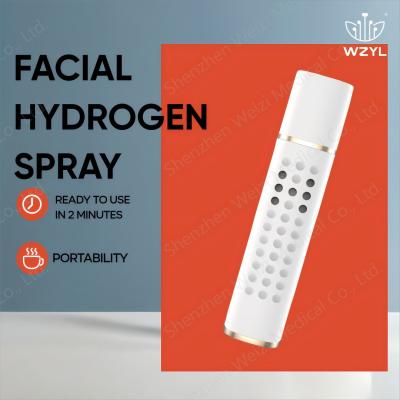 1000 PPB Hydrogen Mist Sprayer Relieve Allergies And Soothes Inflammation