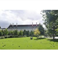 Hierba artificial del jardín de alta densidad del suelo para la resistencia ULTRAVIOLETA del césped sintético