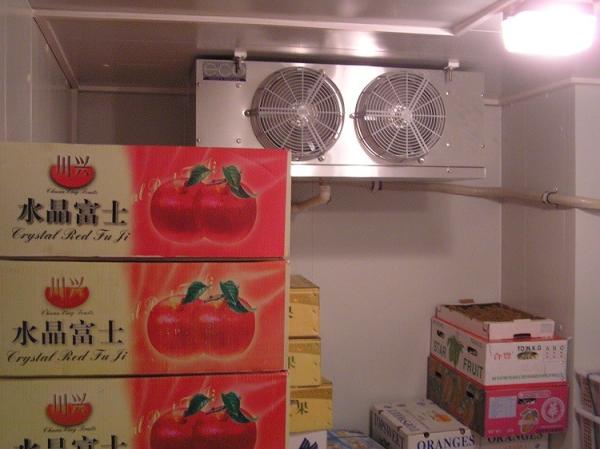 Mini Cold Storage Room Air Cooling Type For Vegetable Fruits Freezing