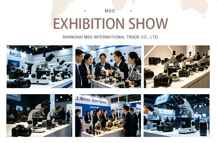 Supplier 4K 60fps Microscope Camera HDR ISP Noise Reduction for Electronics Assembly QC Testing MSS-C-C313