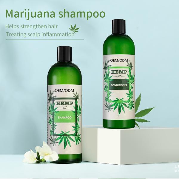 Anti Hair Loss 	Dandruff Hair Shampoo Organic Natural Hair Care