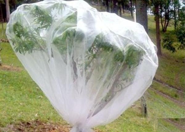 Butterfly Insect Mesh Netting Proof Garden Netting 100% HDPE 30 Mesh