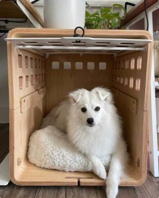 Modern Push Up Solid Wood Dog Crate End Table With Acrylic Door
