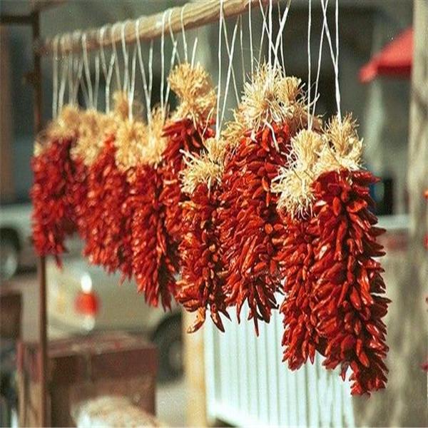 3CM Hot Pot Red Bullet Chilli Chaotian Pepper Stick Shape 20000 SHU