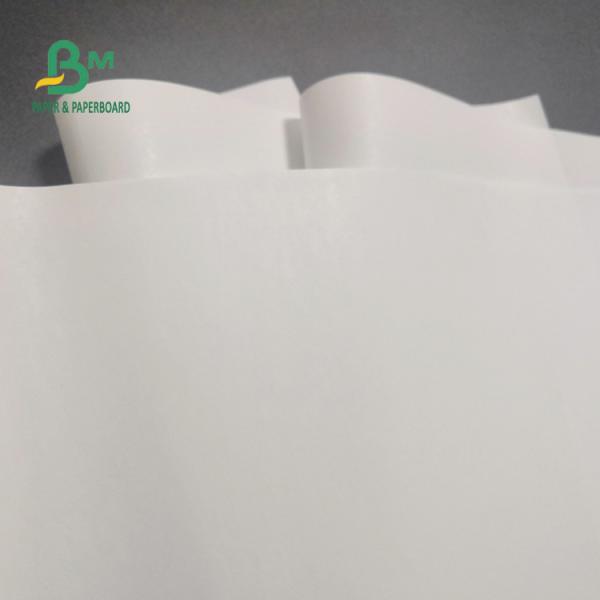 petit pain libre de papier thermosensible de 65gsm BPA pour l'image claire 600mm x 9000m de caisse enregistreuse