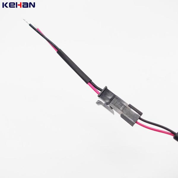 Electronic Wire Harness for LS ECM OEM and Test Platform in EURO Market