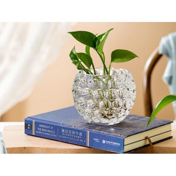 Crystal Clear Home Decoration Glass Vase Lead Free Machine Pressed