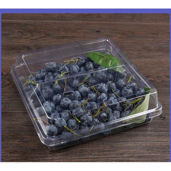 Blueberry box Disposable bowl designed for supermarket/fruit store packaging with transparent PET material