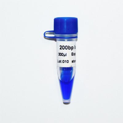 Classic DNA Marker Electrophoresis 500bp Ladder GDSBio