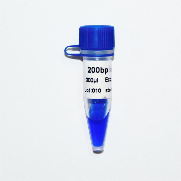 Classic DNA Marker Electrophoresis 500bp Ladder GDSBio