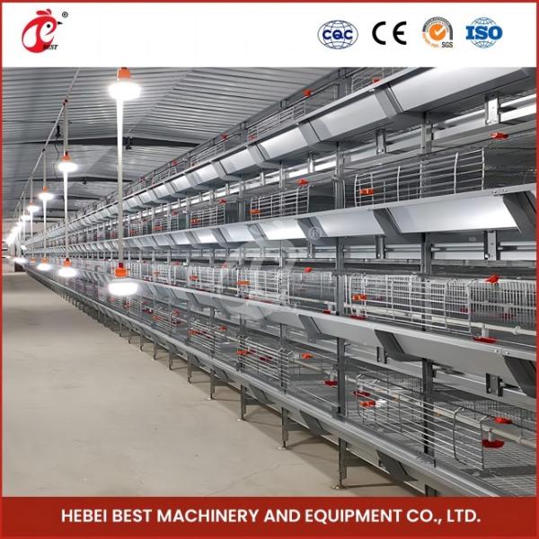 Poultry Q235 Steel Wire Chicken Battery Cage With Automatic Drinker Accessories Sandy