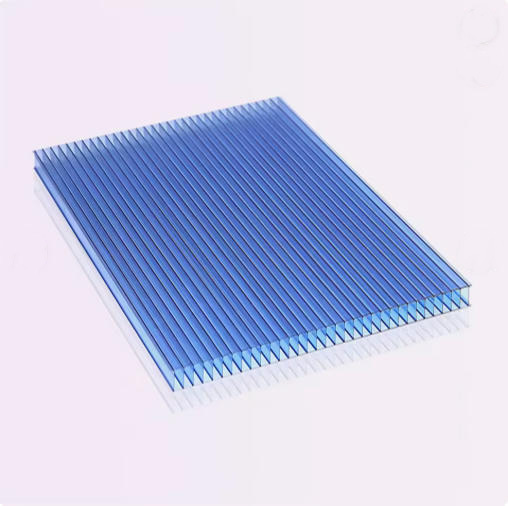 Twin Wall Polycarbonate Plastic Hollow Sheet Roofing Modern Outdoor Sunshine Sheets Design
