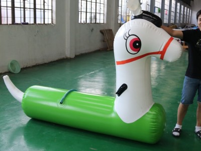 Inflatable pony Hot Sport Game Water Sport Games