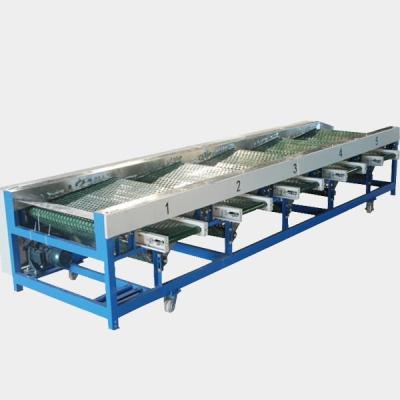A palma vermelha data a máquina de classificação redonda alaranjada do fruto da máquina de classificação do fruto