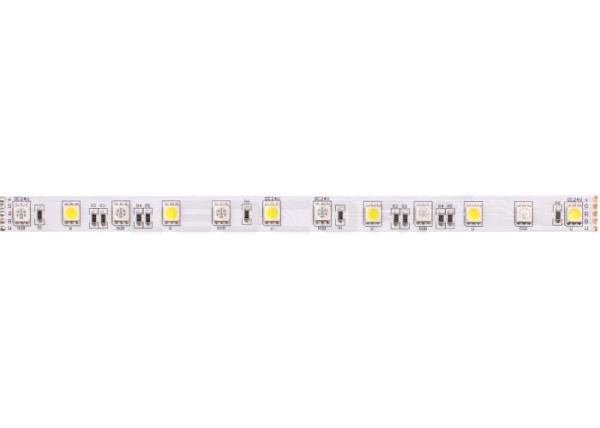 5050 Waterproof RGB LED Strips 60 LEDs / m RGBW 24 Volt LED Strip Lights