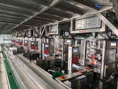 Industrial Power VFFS Machine Say goodbye to human error Coffee powder Pet food error ±0.1g
