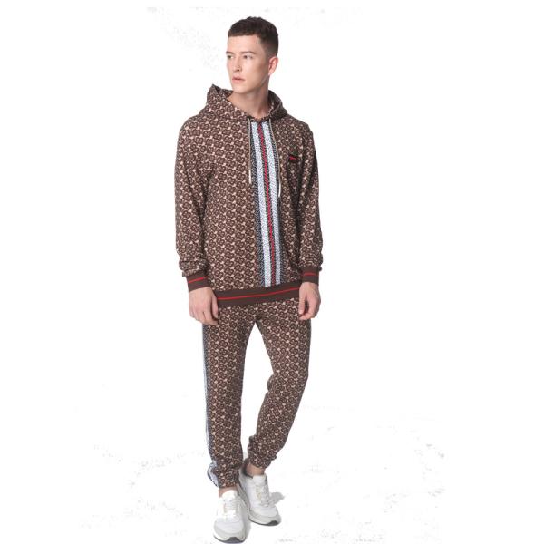 Regular Sleeve Hooded Collar Cotton Sweatshirt And Sweatpant Sets Custom Logo