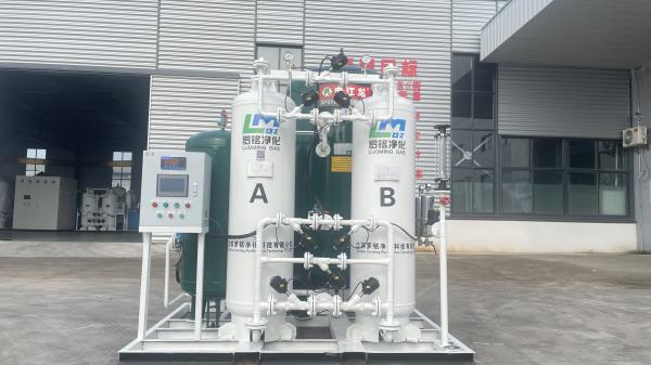 Industrial Nitrogen Generator For Food Packaging And Electronics Manufacturing High Purity Nitrogen Production Equipment