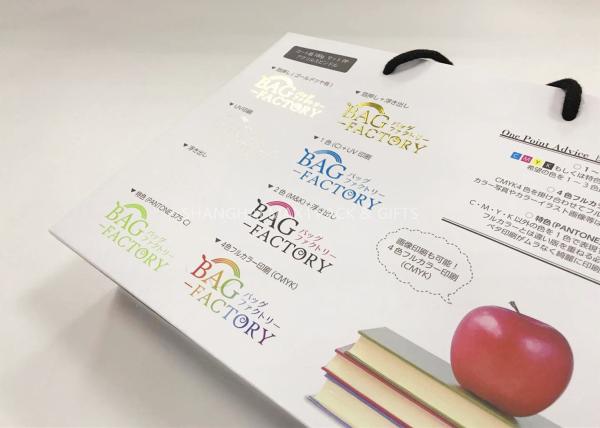 Carrier Branded Reusable Paper Gift Bags Printed With Logo Personalised Custom Made