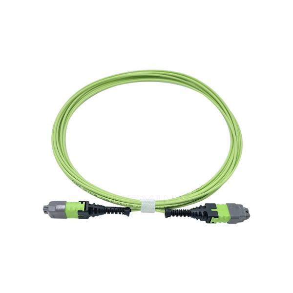 KEXINT 12 Core OM5 Fiber Optic Patch Cord MTP Pro Female 2.0mm 5M Type B Multimode