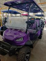 6 plazas 4 ruedas Carritos de golf Scooter eléctrico 48V 100Ah Baterías de litio Carritos de golf