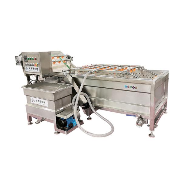 Cabbage Hoses For Washing Machine Japan