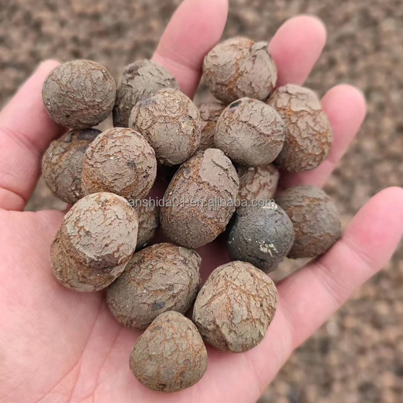 LECA Soilless Culture Media Lightweight Brown Balls for horticulture