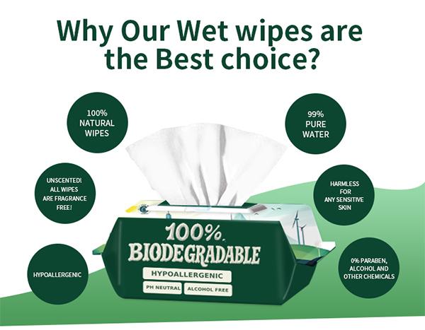 China wipes Supplier 80pcs Plastic Free Biodegradable Wet Wipes