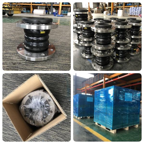 Ansi 150lb Din Pn16 Epdm aço carbono flange elastomérico