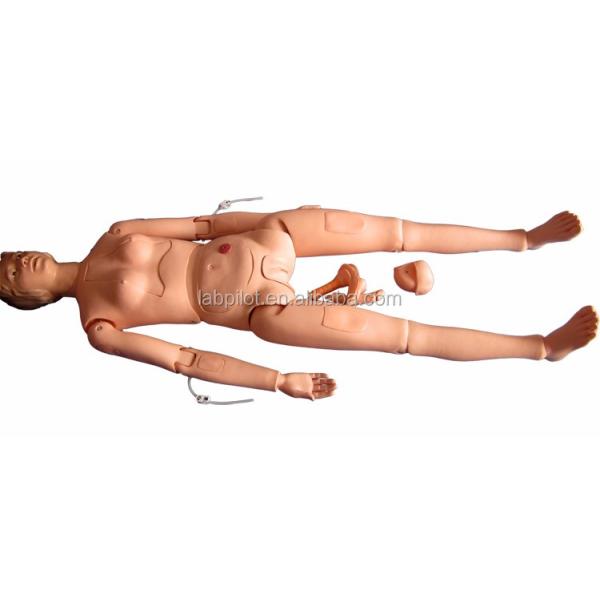 Internal Organs Nursing Training Manikin for Human Life Size Patients Care Demonstration